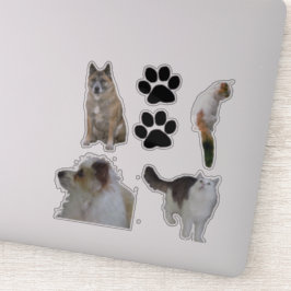 Adesivo Vinil Sticker - Gatos e Cães