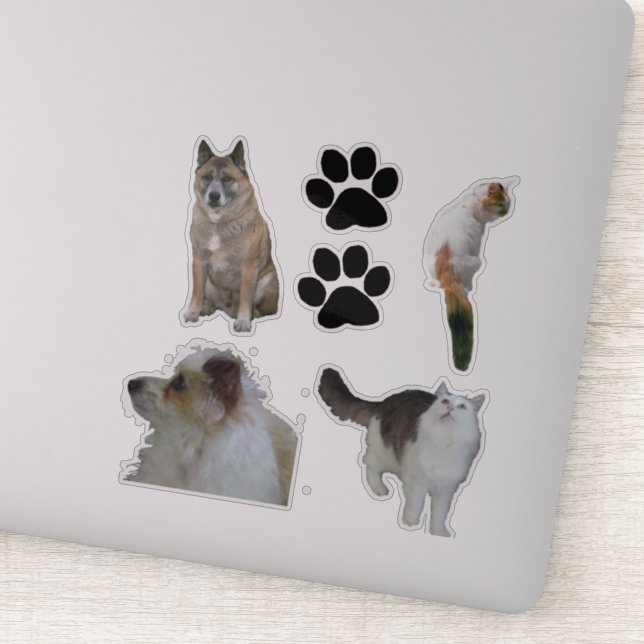 Adesivo Vinil Sticker - Gatos e Cães (Detalhe)