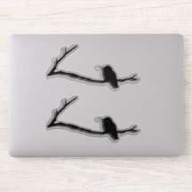 Vinil Sticker - Hummingbird no Branch