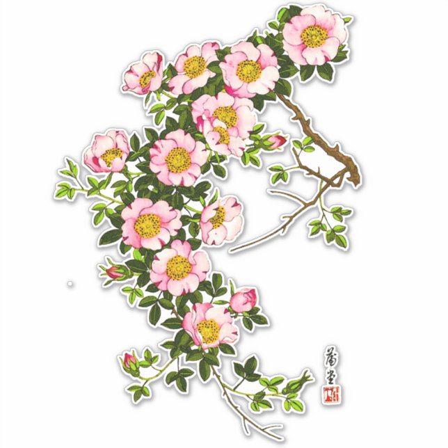 Adesivo Vintage - Blossomas de Cereja Japoneses, Rosa e Do (Frente)