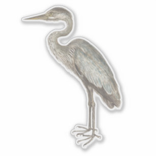 Adesivo Vintage Blue Heron, ilustração de pássaros