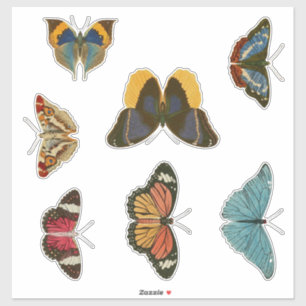Adesivo Vintage Butterflies Sticker