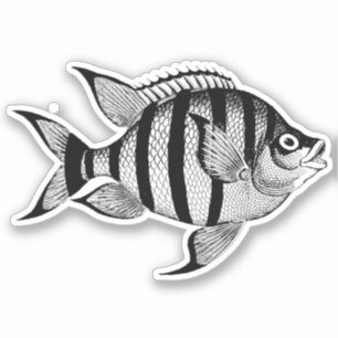 Adesivo Vintage fish sealife ocean