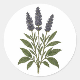 Adesivo Vintage Lavanda - redondo