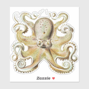 Adesivo Vintage Polvo Ernst Haeckel Náutico Vida Marinha