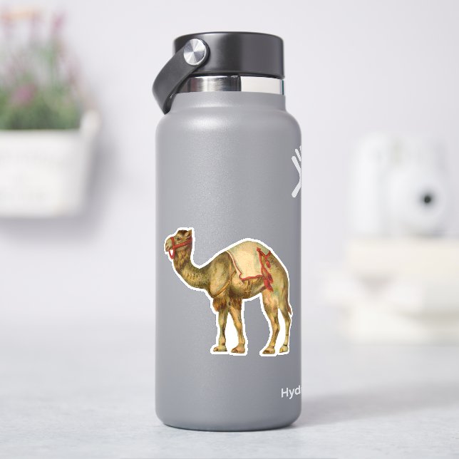 Adesivo Vintage retro style circus performance camel (HidroFlask)