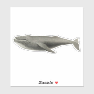 ADESIVO VINTAGE WHALE TRANSPARENTE STICKER