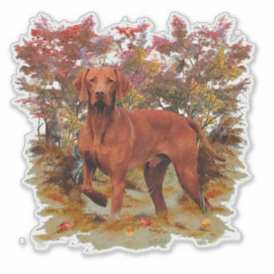 Adesivo Vizsla Sticker