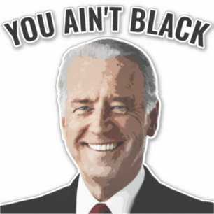 ADESIVO VOCÊ NÃO É PRETO JOE BIDEN CAR DECAL STICKERS