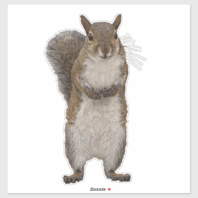 Adesivo Você tem algumas loucos? (Folha)