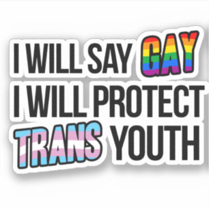 Adesivo Vou dizer gay e proteger a juventude trans