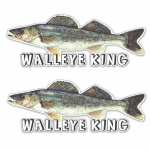 Adesivo Walleye King