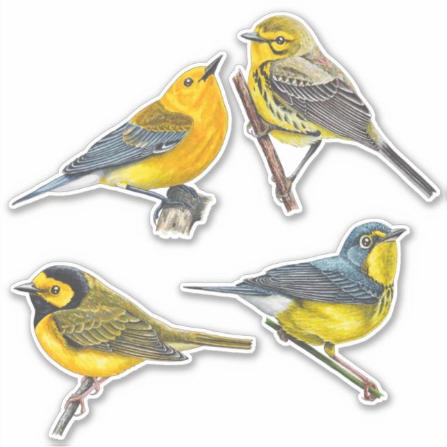 Adesivo Warblers Stickers Value Pack (Frente)