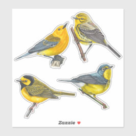 Adesivo Warblers Stickers Value Pack