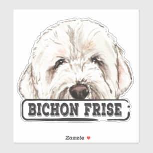 Adesivo Watercolor Bichon Frise