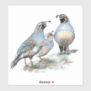 Adesivo Watercolor California Quail Bird Nature Willife