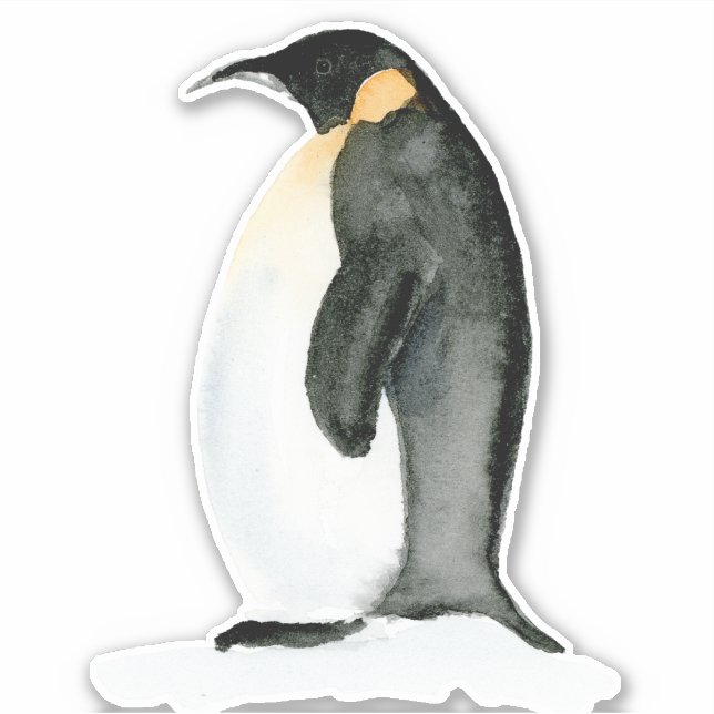 Adesivo Watercolor Chubby Penguin - Vinheta De Corte De Vi (Frente)