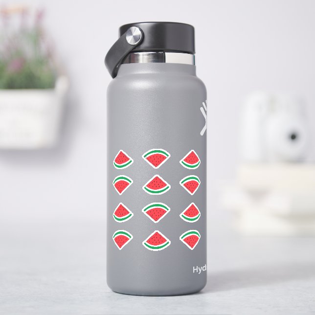 Adesivo Watermelon Wedge Sticker Pack (HidroFlask)