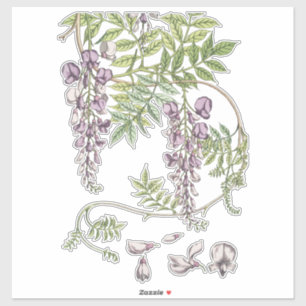 Adesivo Wisteria Florals Crafting and Decoupage