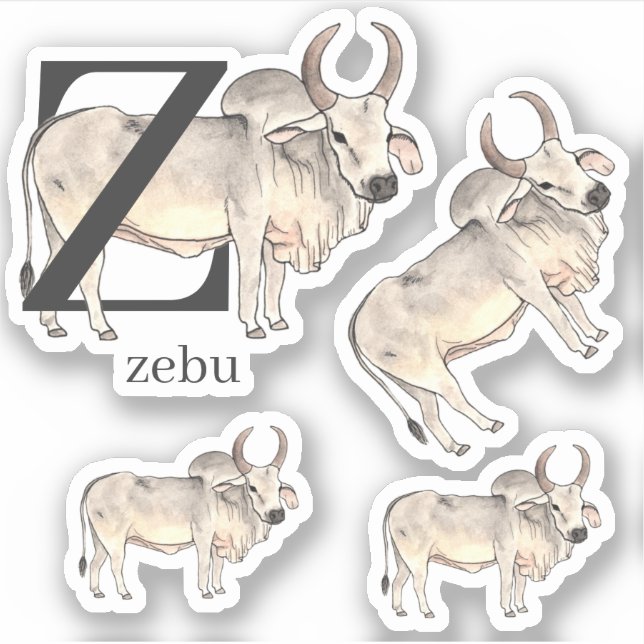 Adesivo Z para Zebu Stickers (Frente)