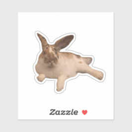 Adesivo Zesty Paddy Sticker