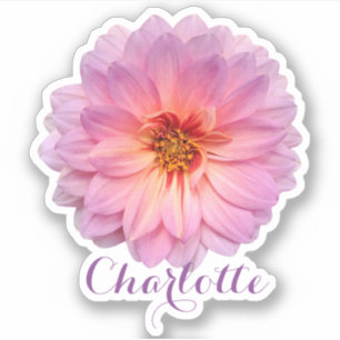 Adesivo Zínia Rosa Nome Personalizado
