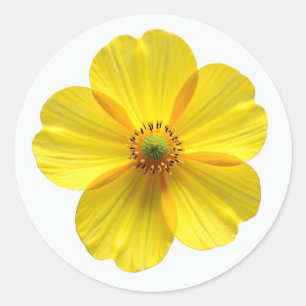 Adesivos Adesivo Flor Amarela