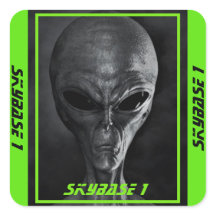 Adesivos Alein do SkyBase1 Personalizados