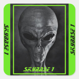 Adesivos Alein do SkyBase1 Personalizados