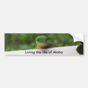 Adesivos Aloha Gecko