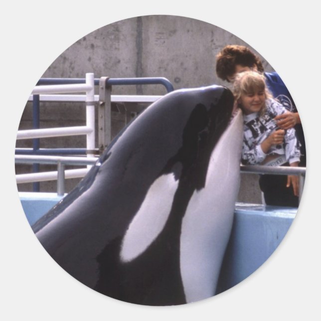 Adesivos Aquáticos (Frente)