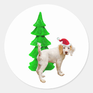Adesivos Árvore Verde Santa Cachorro