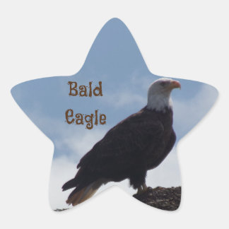 Adesivos Bald Eagle Star