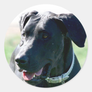 Adesivos Black Great Dane