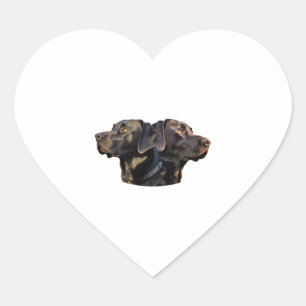 Adesivos Black Labrador