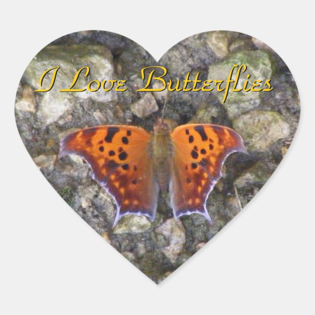 Adesivos Butterfly (Frente)