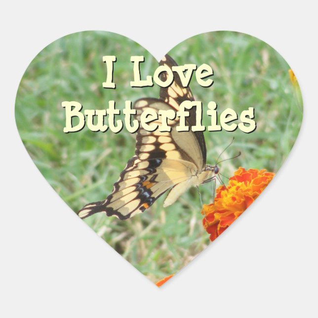 Adesivos Butterfly (Frente)