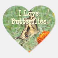 Adesivos Butterfly