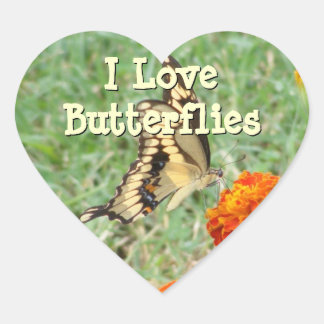 Adesivos Butterfly