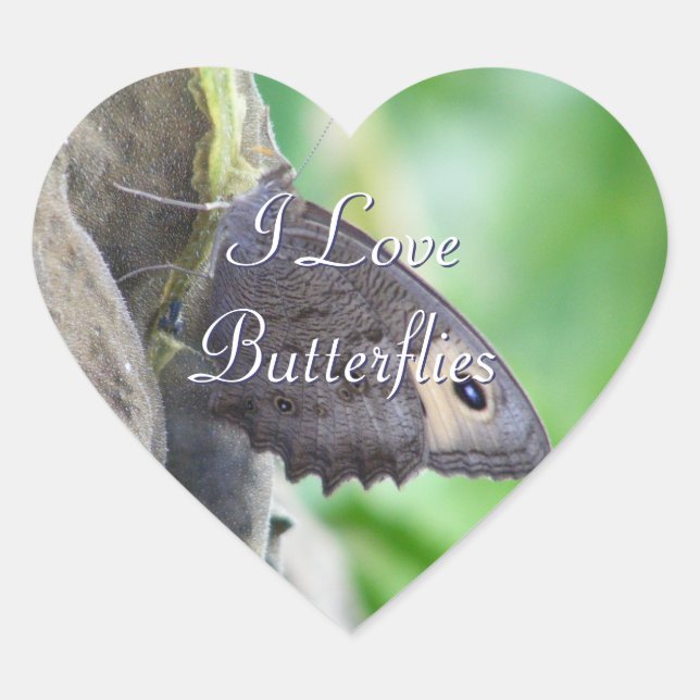 Adesivos Butterfly (Frente)