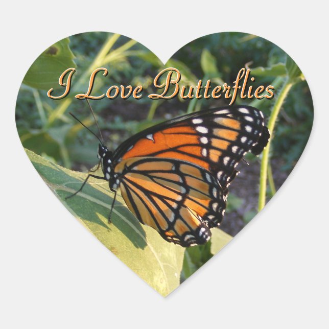 Adesivos Butterfly (Frente)
