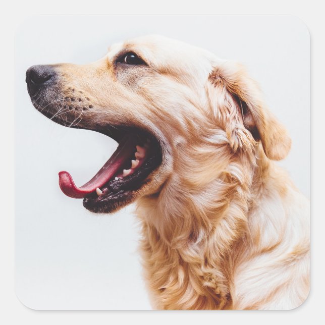 Adesivos Cães Cachorros Cachorros 6 (Frente)