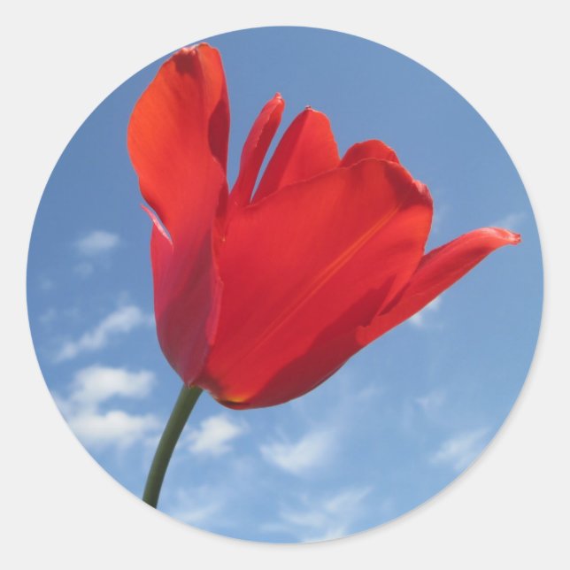 Adesivos - Céu Azul Vermelho (Frente)