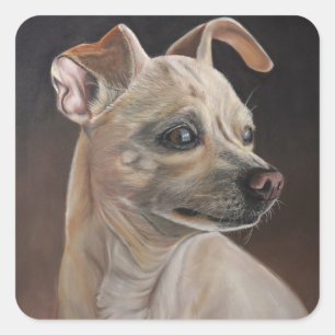 Adesivos Chihuahua