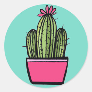 Adesivos cor-de-rosa para Pote de cactus