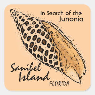 Adesivos da Ilha Sanibel da Junonia shell