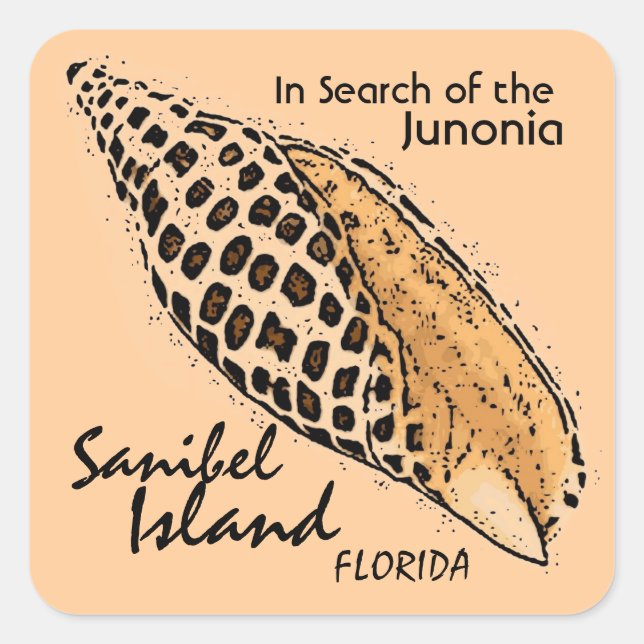 Adesivos da Ilha Sanibel da Junonia shell (Frente)