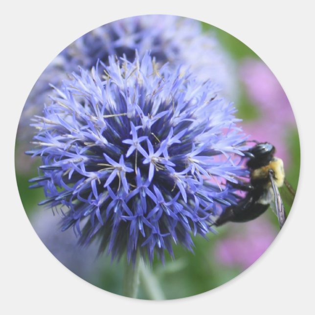 Adesivos de abelhas (Frente)