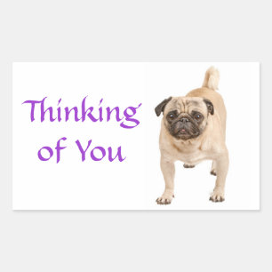 Adesivos de Agradecimento ao Cachorrinho Pug