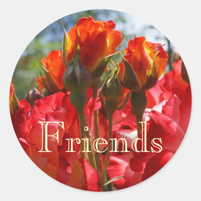Adesivos de amigos selos ROSA Vermelha Flores Nata (Frente)